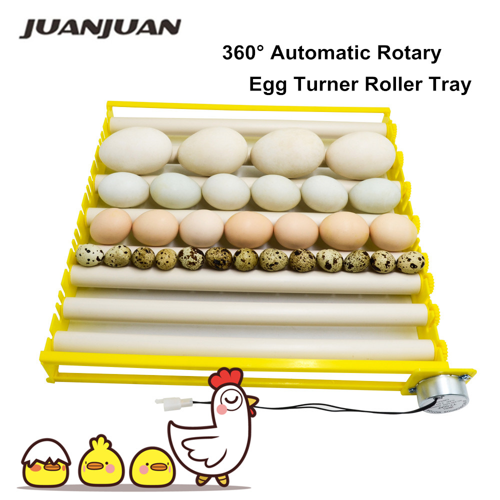 Hunting Quail - Automatic 360° Rotary Egg Turner Roller