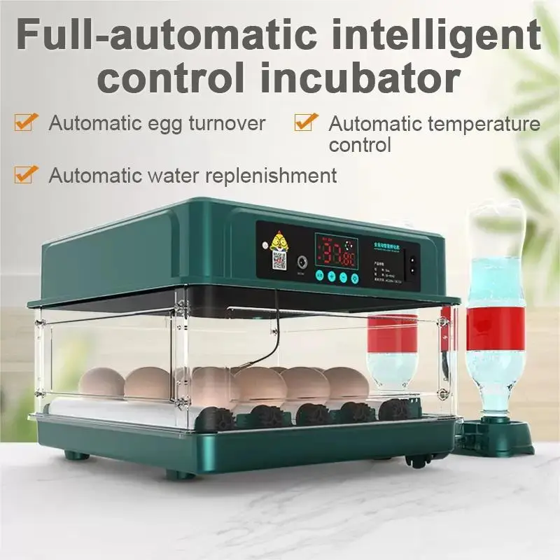 Hunting Quail - Incubator with Automatic Egg Turning and