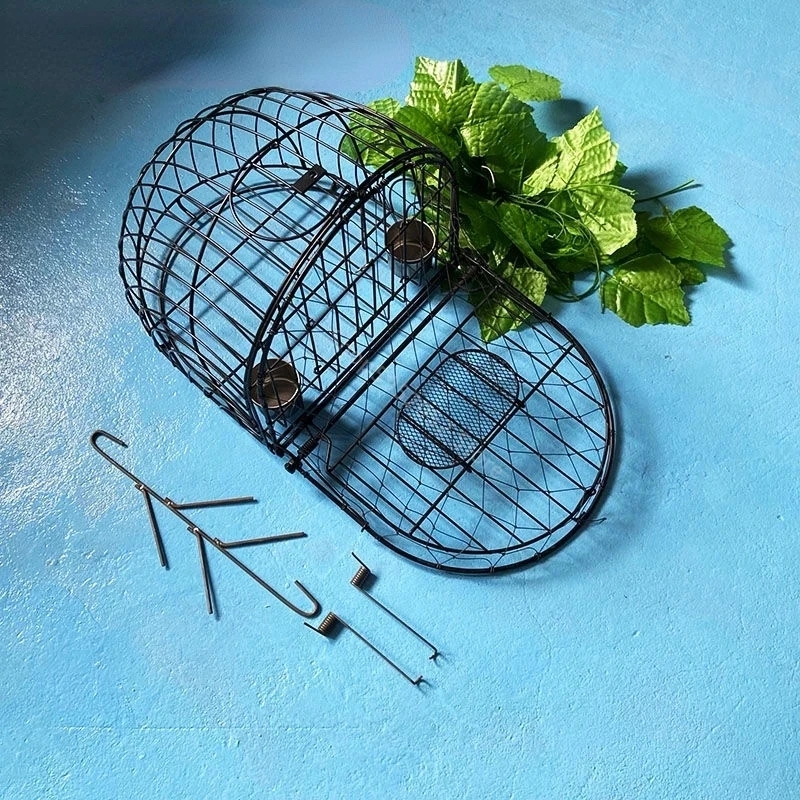 Bird Net Effective Humane Live – Hunting Quail Bewertung und Preis
