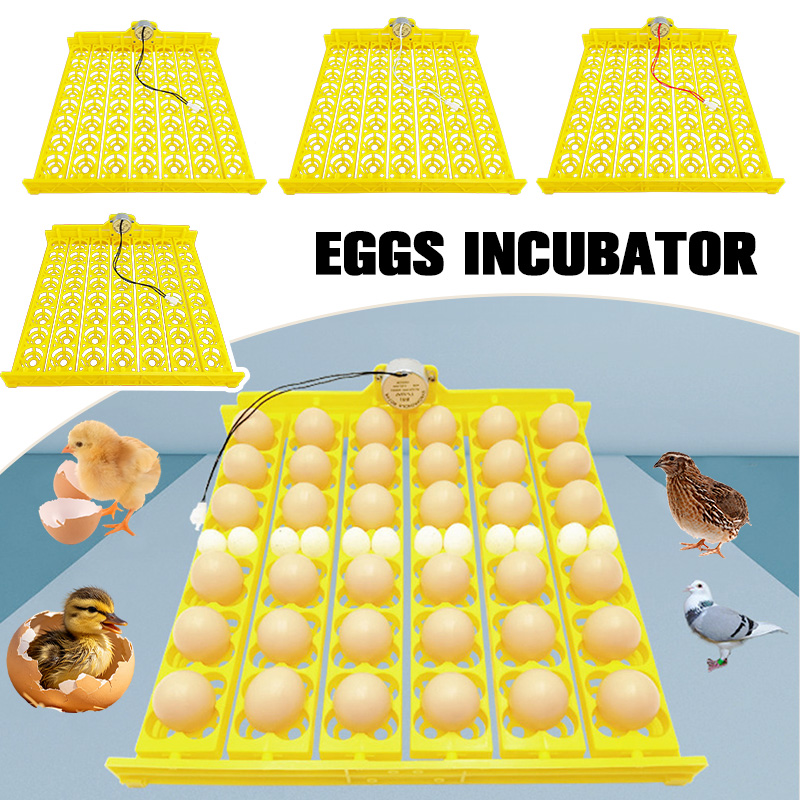 Automatic 360° Rotary Egg Turn – Hunting Quail Bewertung und Preis