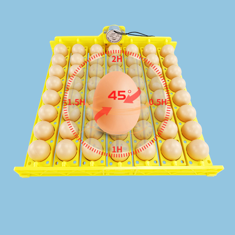 Automatic 360° Rotary Egg Turn – Hunting Quail Bewertung und Preis