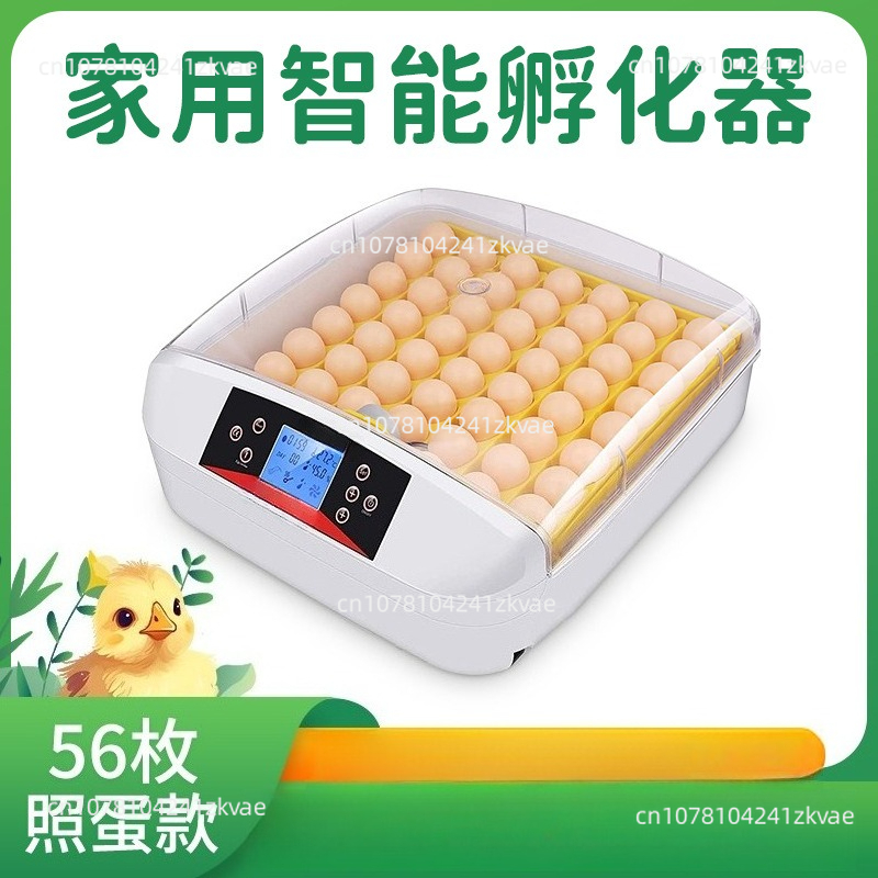 Small Mini Poultry, Chicken, D – Hunting Quail Bewertung und Preis