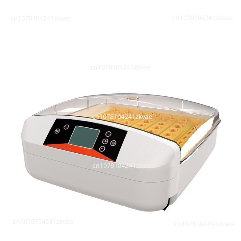 Small Mini Poultry, Chicken, D – Hunting Quail Bewertung und Preis