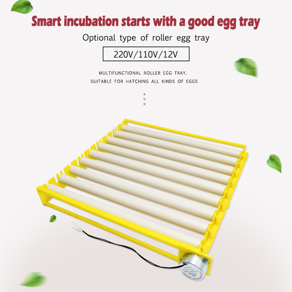 Automatic 360° Rotary Egg Turn – Hunting Quail Bewertung und Preis