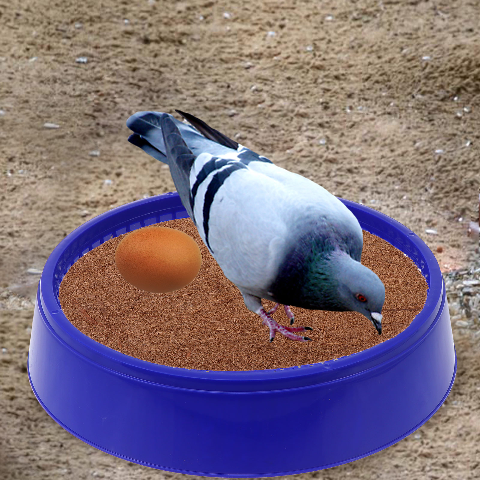 3Pcs Plastic Nest Bowl For Hat – Hunting Quail Bewertung und Preis