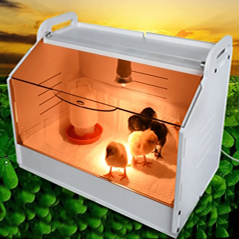 Brooding Incubator For Chicks  – Hunting Quail Bewertung und Preis