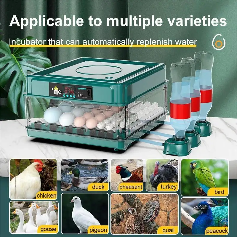 Incubator with Automatic Egg T – Hunting Quail Bewertung und Preis